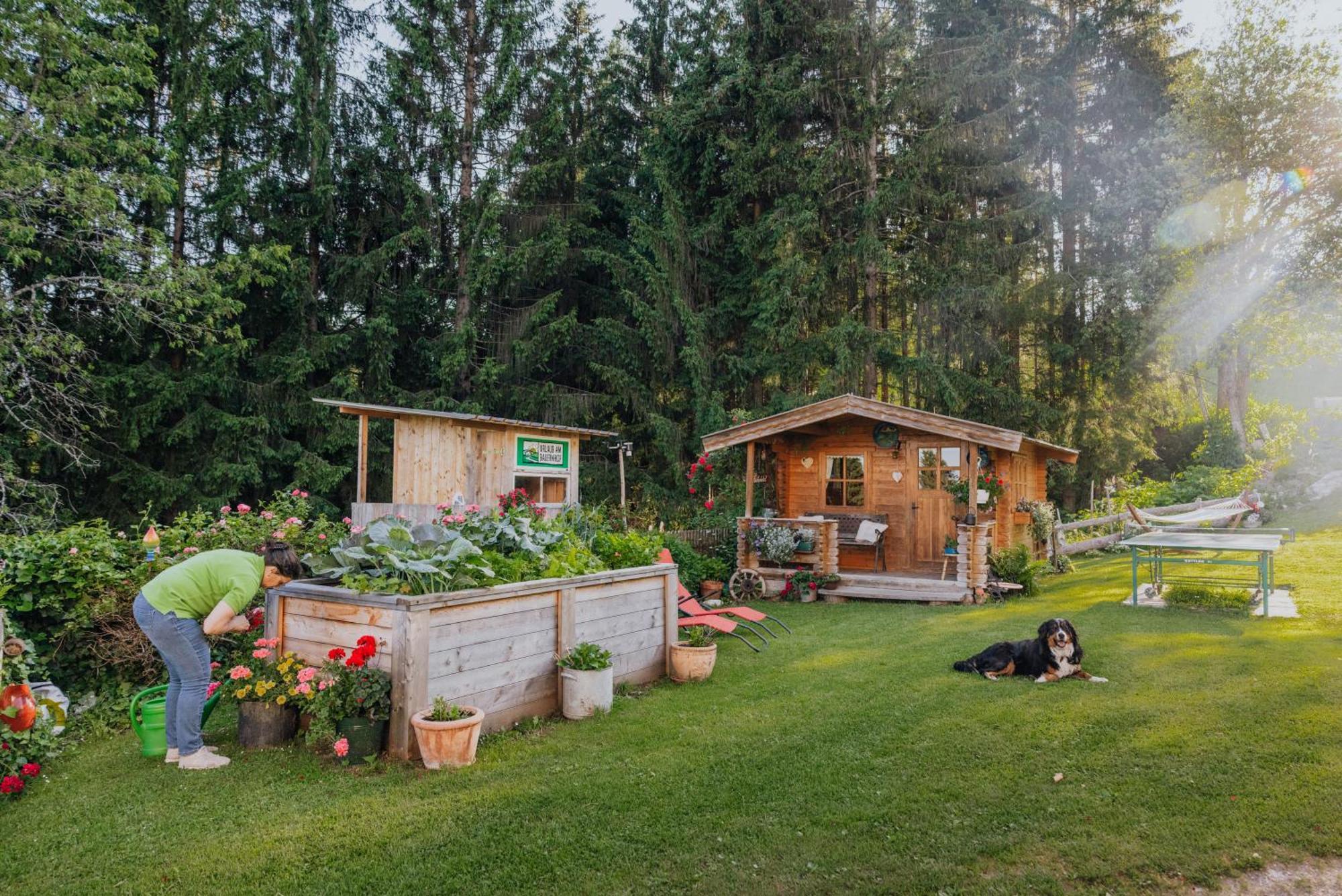 Bio-Bergbauernhof Weger Apartment Делах Екстериор снимка